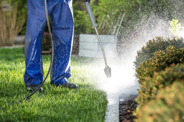 Curb Cleaning in Norfolk