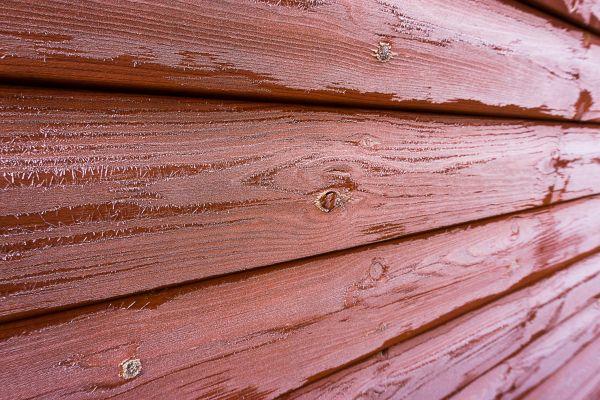 Cedar Siding Cleaning in Norfolk