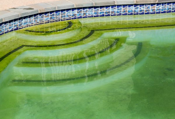 Pool Deck Algae Removal in Norfolk