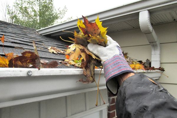 Eaves Cleaning in Norfolk